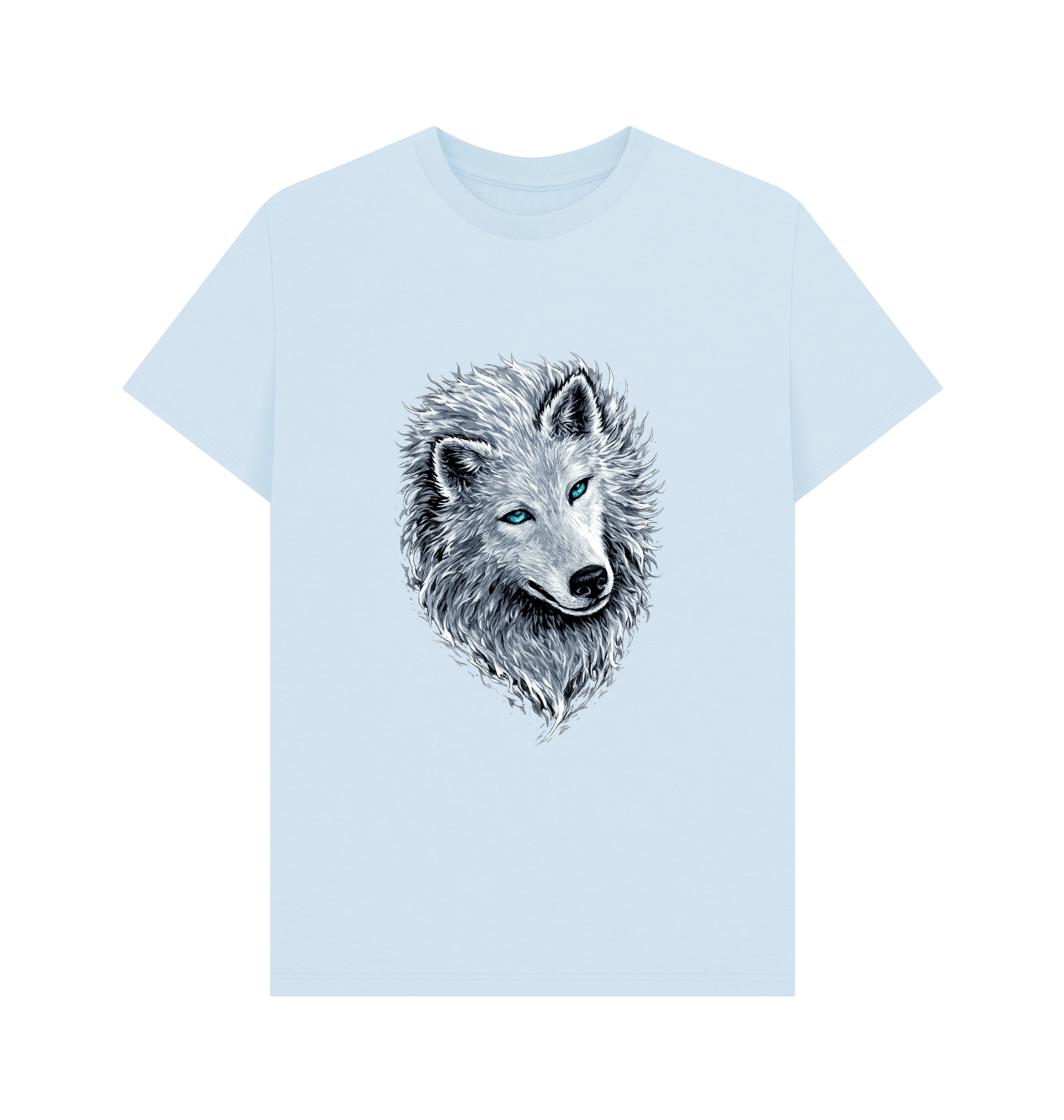 Sky Blue Printed T-shirt Front