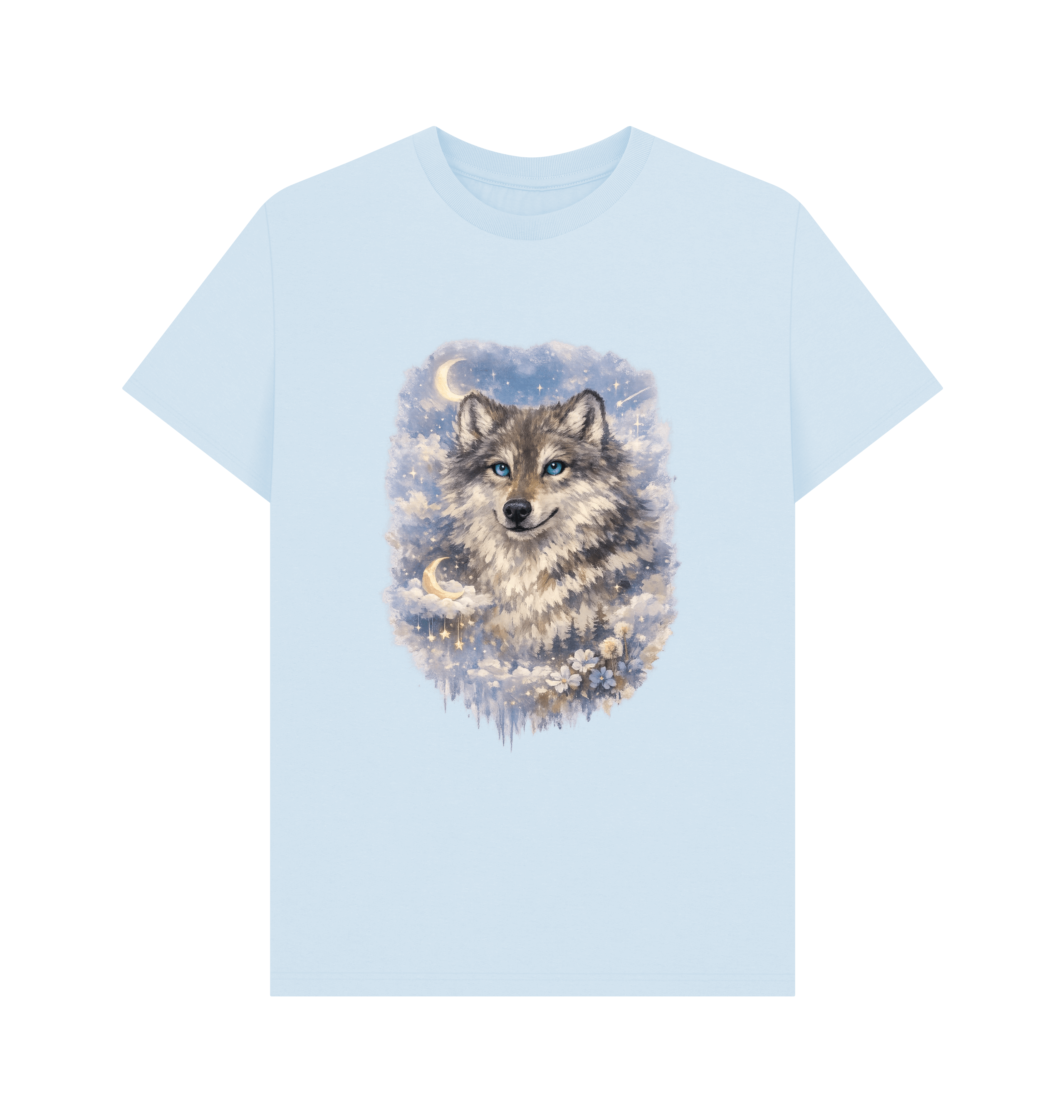 Sky Blue Printed T-shirt Front