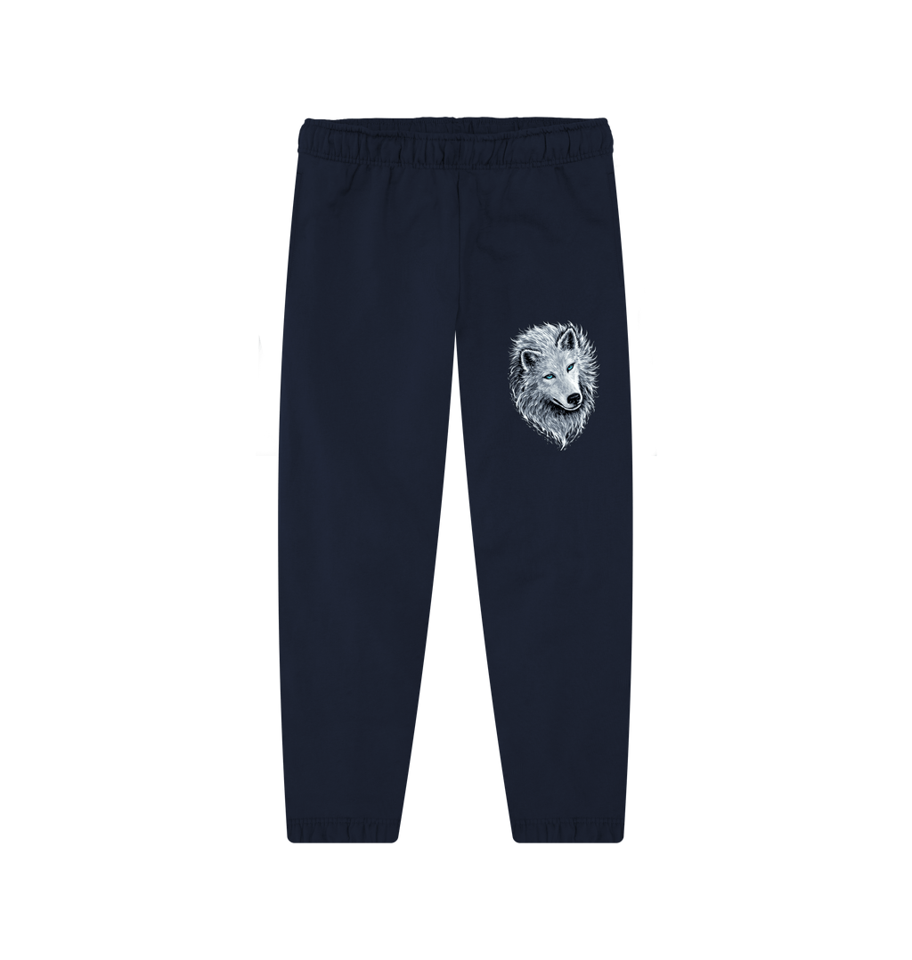 Navy Joggers Front